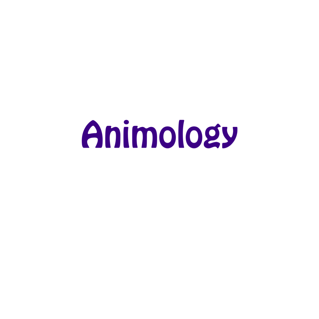 Animology